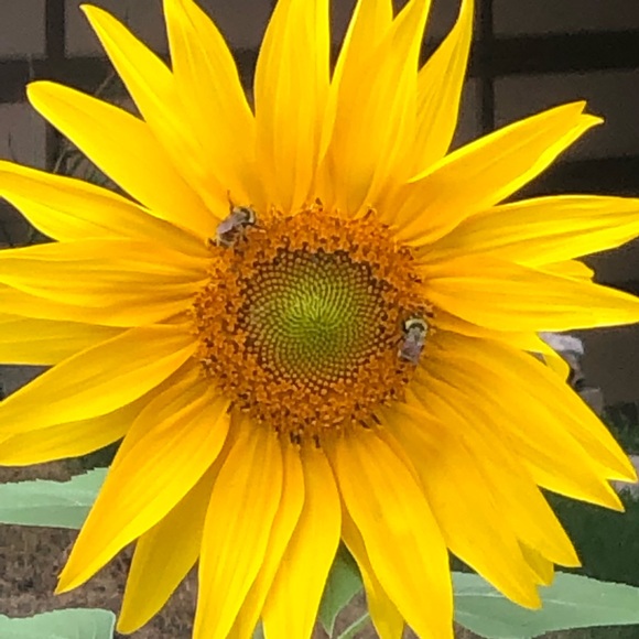 Hi my name is Allison!  Welcome to my closet :-) - Picture 1 of 5